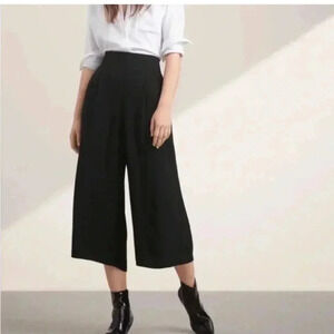 Aritzia sunday  best sullivan wide leg pants gaucho capri cropped pants